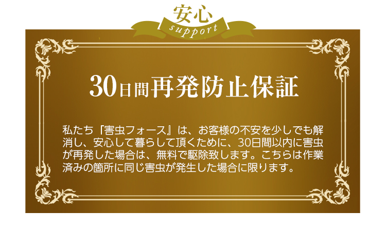 シロアリや蜂など害虫の駆除はすぐにご連絡ください