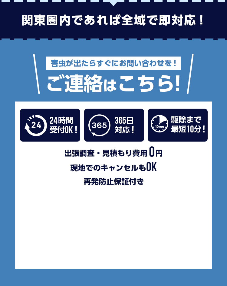 ゴキブリなどの害虫被害が発生しないように予防や対策も