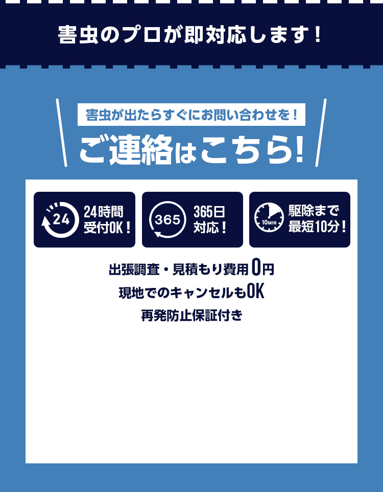 ゴキブリ、シロアリ、ハチなどの害虫が発生したらすぐにご連絡ください